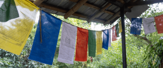 Prayer flags among the trees at the ashram